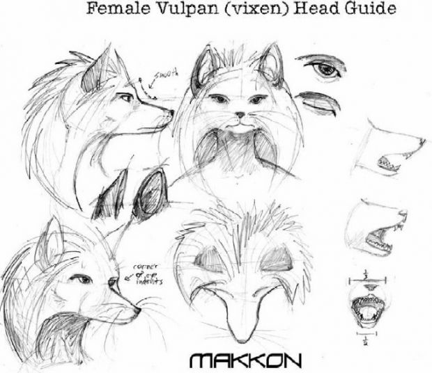 Vixen Head Guide