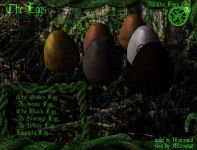 Several Eggs
