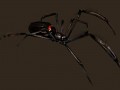 Spider Walk Animation
