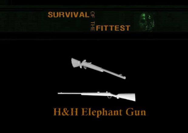 H&H Elephant Rifle
