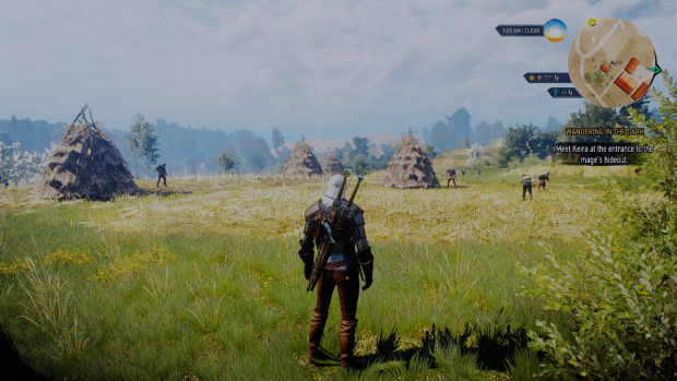 the witcher graphics mod