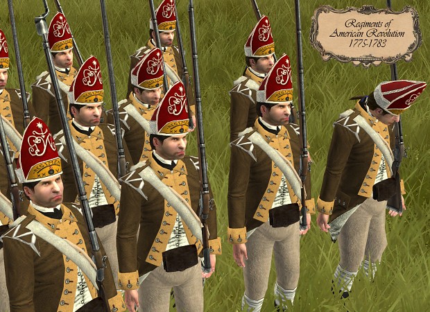 Washington's Grenadiers