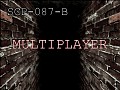 Multiplayer Mod