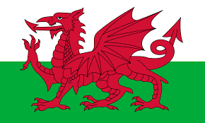 Welsh Flag 9