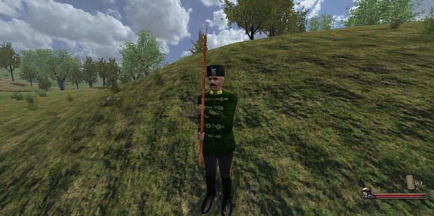 Bulgarian Chetnik
