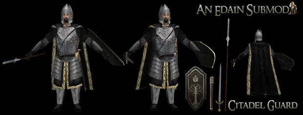 Citadel Guard