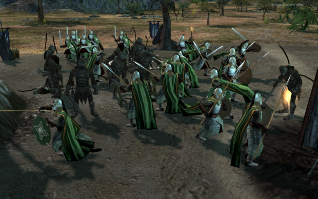 Royal Guard of Rohan In-Game