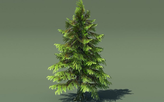 Tree Model #2