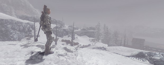 fallout new vegas snow mod