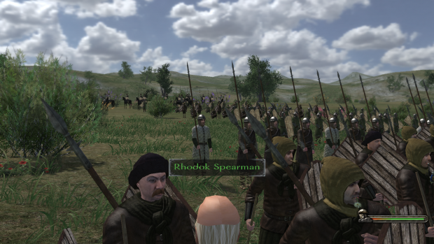 All Rhodok troops are in one screenshot