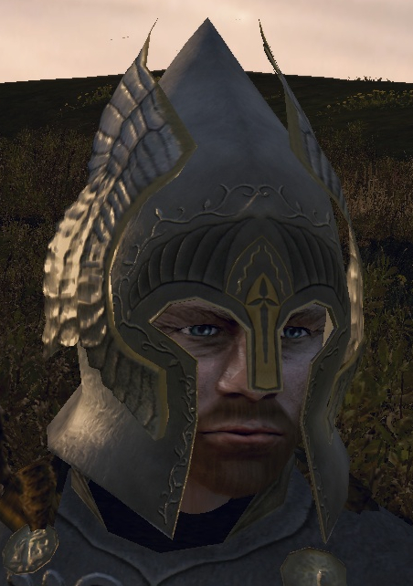 New Tower Guard Helm
