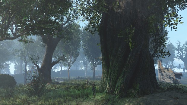 Giant Trees In New Eden