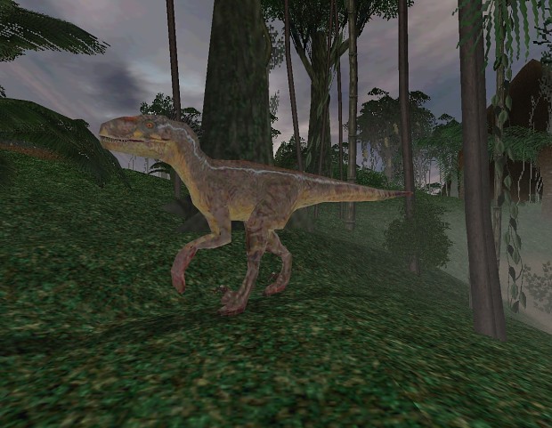 Velociraptor - alpha male (JP3 version)
