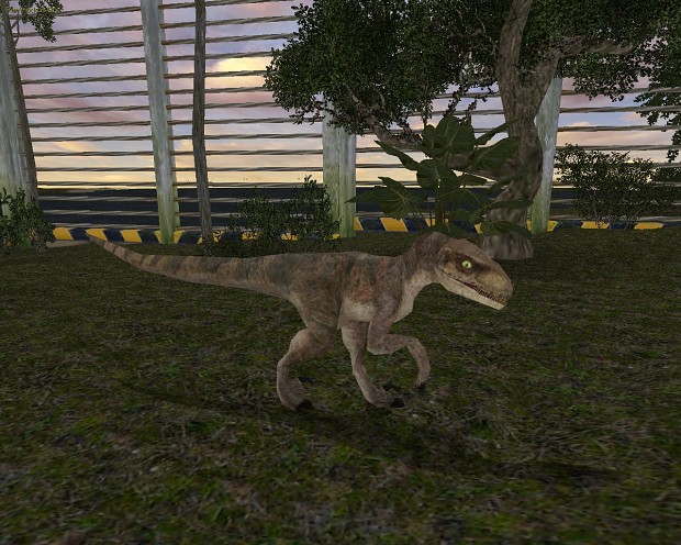 Velociraptor - female (new skin)