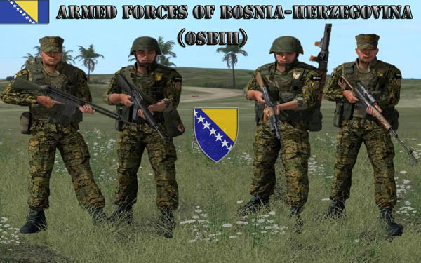 Military Of The Fed.Bosnia