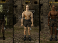 Gothic 2 NoR New Character models