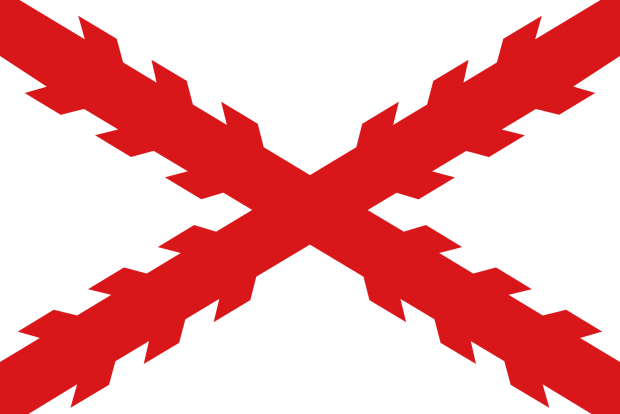 Flag of Cross of Burgundy 4