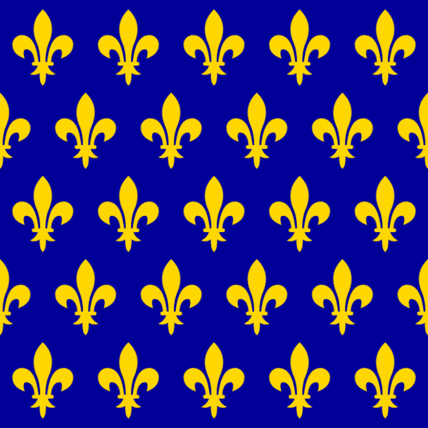 flag of the kingdom of france by 5
