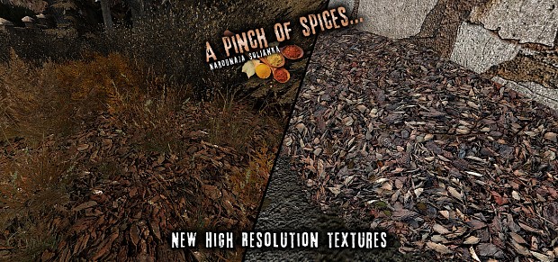 a pinch of spices stalker coc mod
