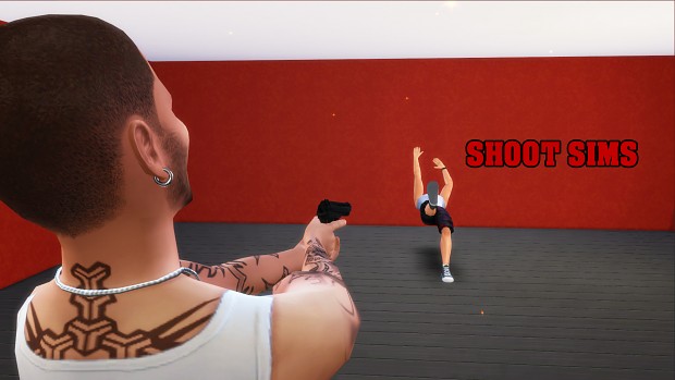 Shoot Sims