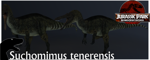 Suchomimus tenerensis Render