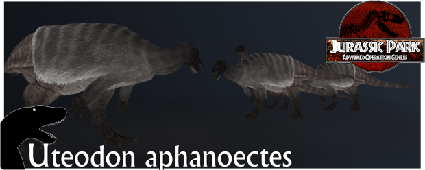 Uteodon aphanoectes Render