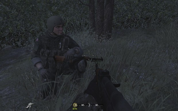 Novorossiyan forces - from "Polite People" mod