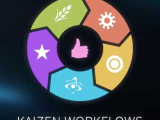 Kaizen Workflows