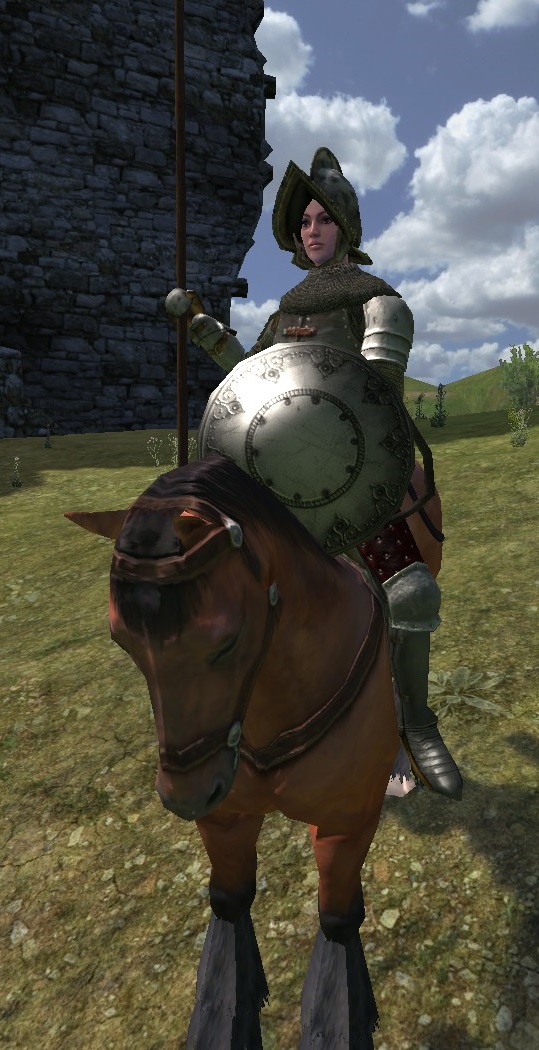 mount and blade training