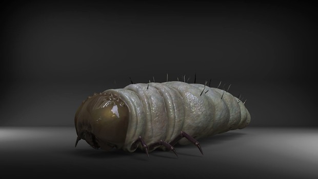May 2023 Division 3 Content Update - Antlion Grubs