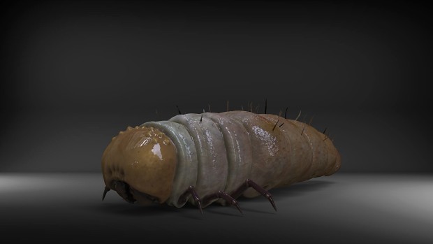May 2023 Division 3 Content Update - Antlion Grubs