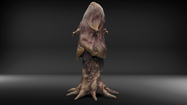 May 2023 Division 3 Content Update - Mushroom Fauna