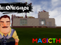 Magic Thief Unkown Neighbor
