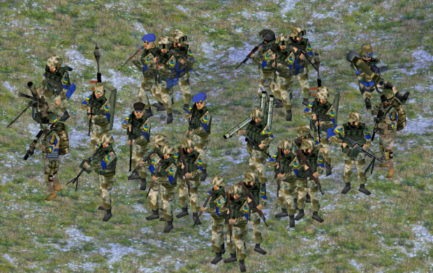 Ukraine infantry2000+