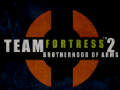 Team Fortress: Brotherhood of Arms