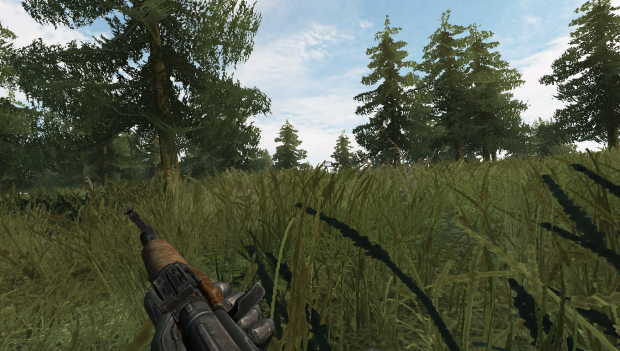 Screenshot in game