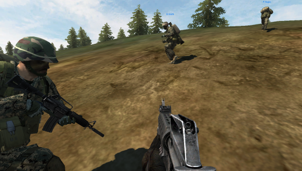Screenshot in game