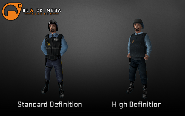 Standard & High Deffinition Security Guards Models