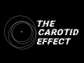 The Carotid Effect