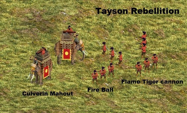Tay Son rebellion unique unit