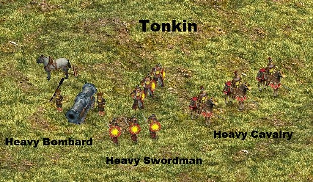 Tonkin unique unit