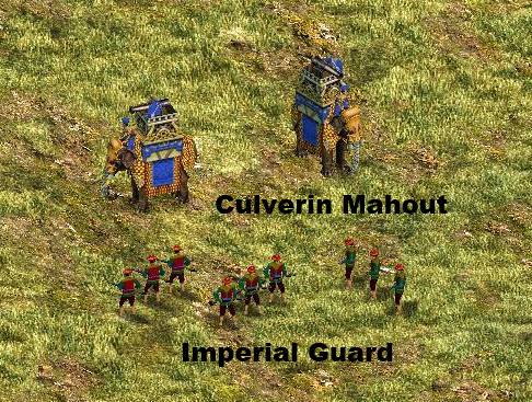 Culverin Mahout vs Imperial guard for Burma