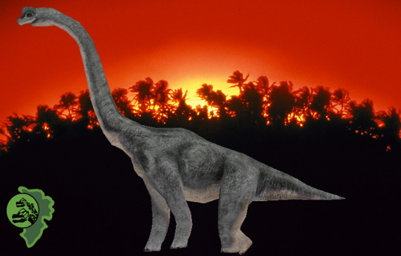 female brachiosaurus