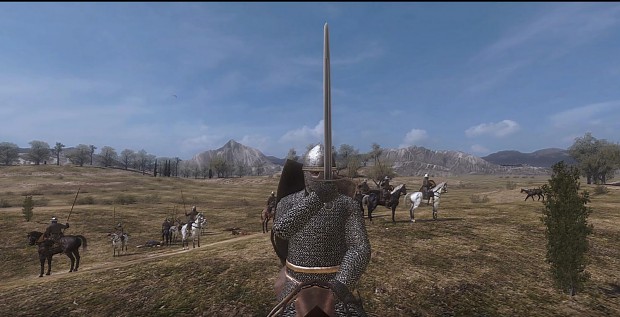mount and blade warband captured king