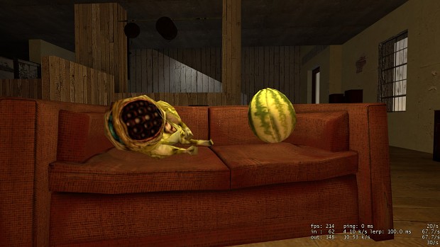 Goober sleeping next to a watermelon