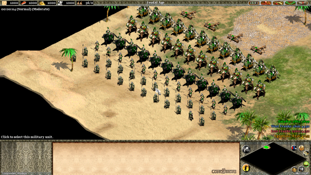New Saladin Army