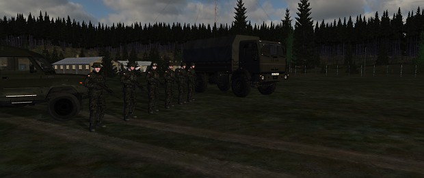 Polish troops
