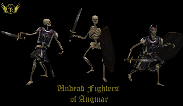 Angmar Undead Fighters