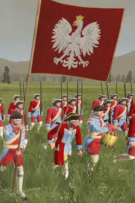 Polish regimental colour