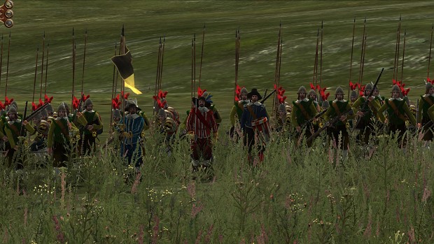 Early-game Pike and Musket units